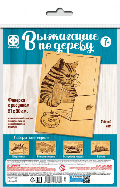 364202 Основы для выжигания 300х210 Ученый кот